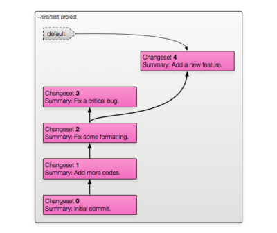 Branching Anonymously