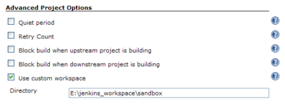 Jenkins Advanced Project Options of The Job