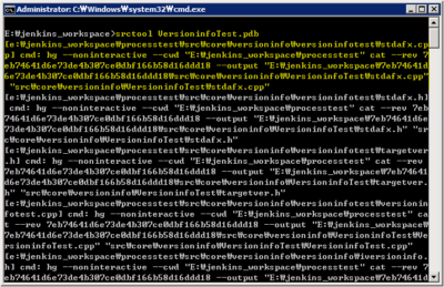 srctool - Local Path Information