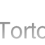 TorotiseHG_logo