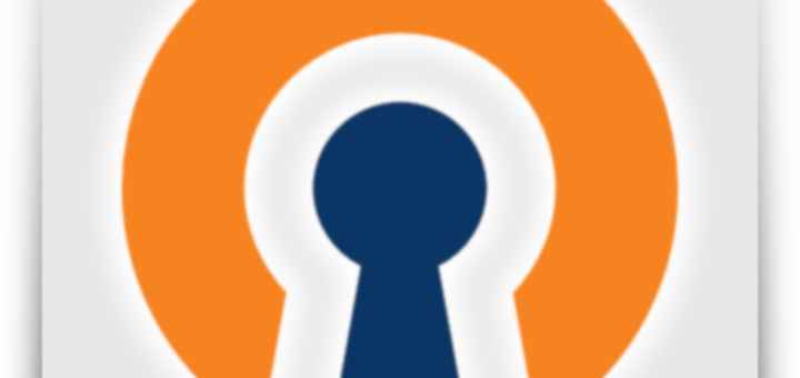 OpenVPN Logo